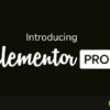 Elementor Pro – Advanced WordPress Page Builder with Premium Templates 3.35.1