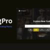 ListingPro — WordPress Directory & Listings Theme 2.9.9