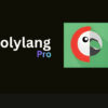 Polylang Pro – Multilingual WordPress Made Easy