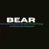 BEAR – Advanced WooCommerce Bulk Editor & Product Manager for Effortless Data Management
