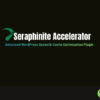 Seraphinite Accelerator – Advanced WordPress Speed & Cache Optimization Plugin