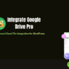 Integrate Google Drive Pro – Advanced Cloud File Integration for WordPress