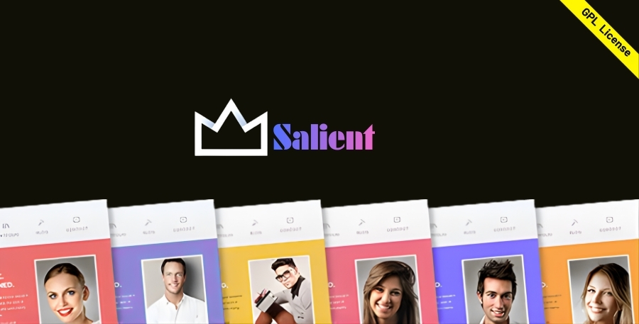 Salient Theme – Creative Multipurpose & WooCommerce WordPress Theme