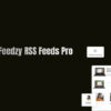 Feedzy RSS Feeds Pro – Smart RSS Import & Auto Content Plugin for WordPress 3.1.0